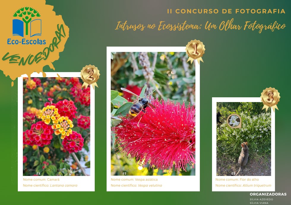 ConcursoFotografia_cartaz_vencedores