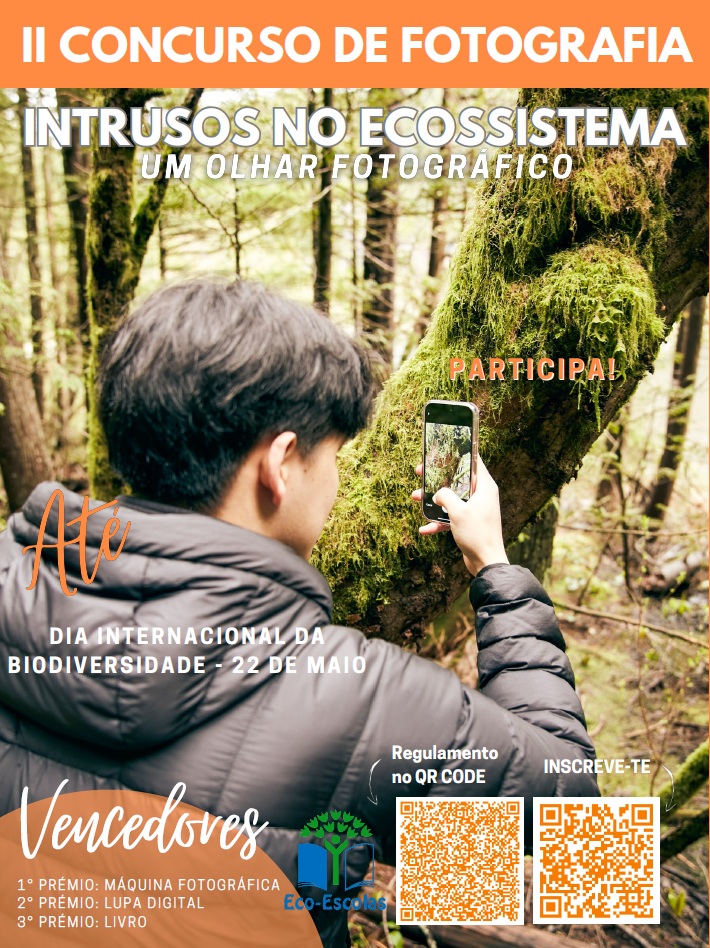 concurso fotografia premiados